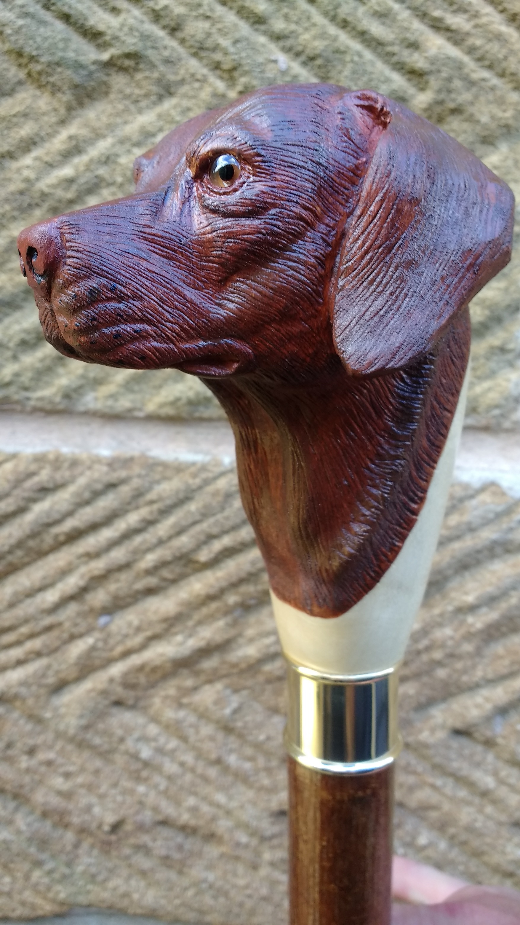 Labrador Walking Stick Country Sticks