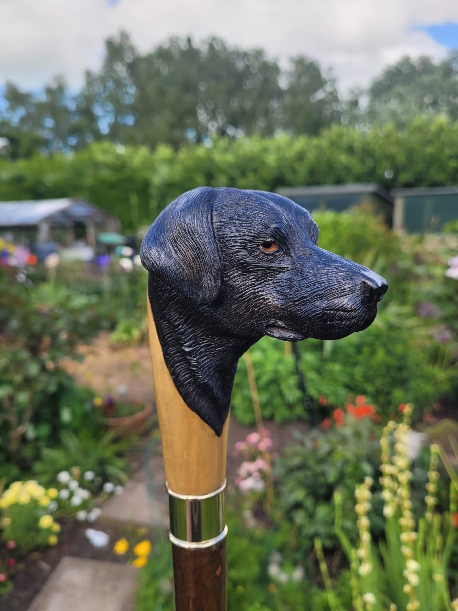Labrador Walking Stick Country Sticks